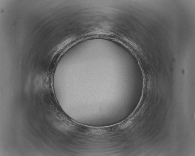 X0000083581258200702091110