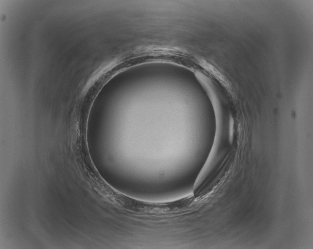 X0000083581261200702091110