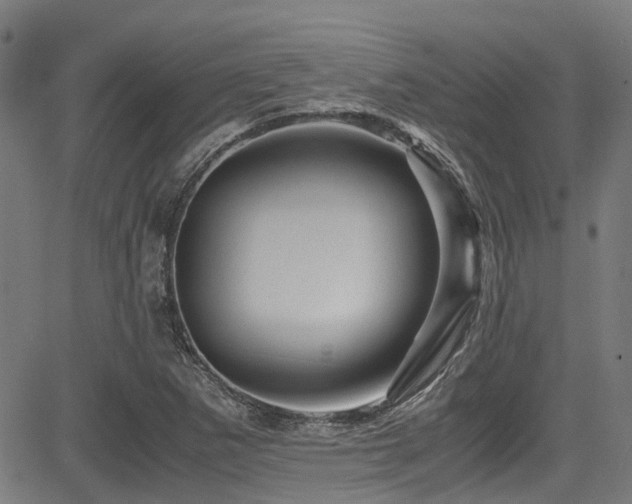 X0000083581265200702091110