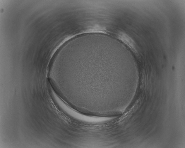 X0000083581268200702091109