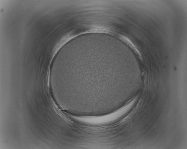 X0000083581276200702091109