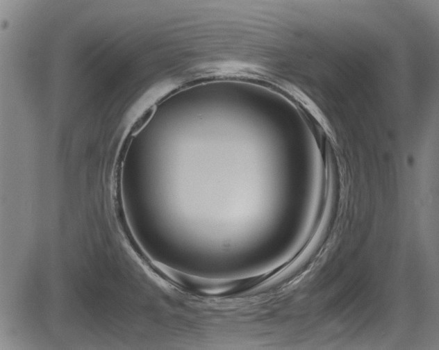 X0000083581285200702091109