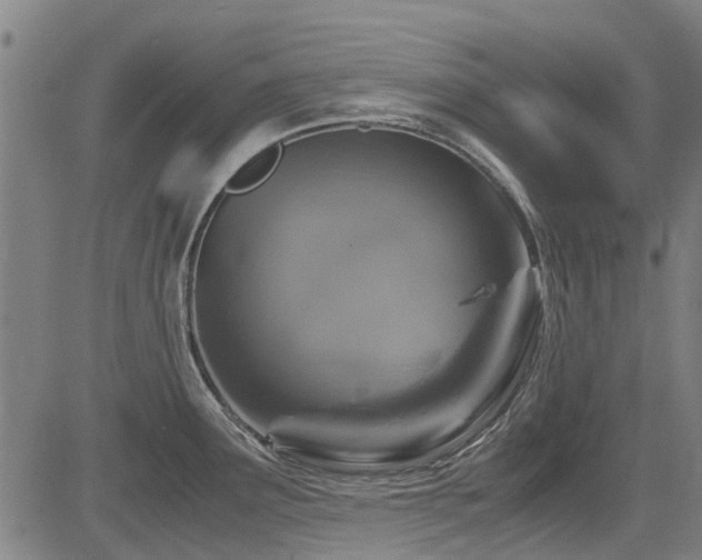X0000083581291200702091109