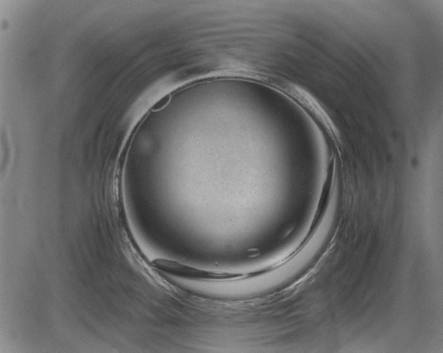 X0000083581292200702091109