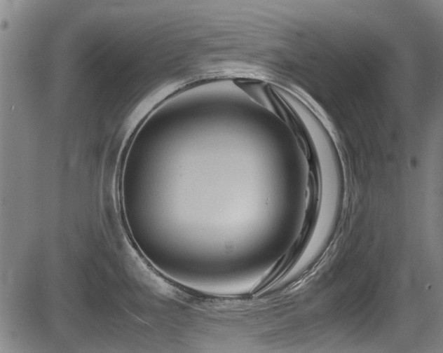 X0000083581293200702091109