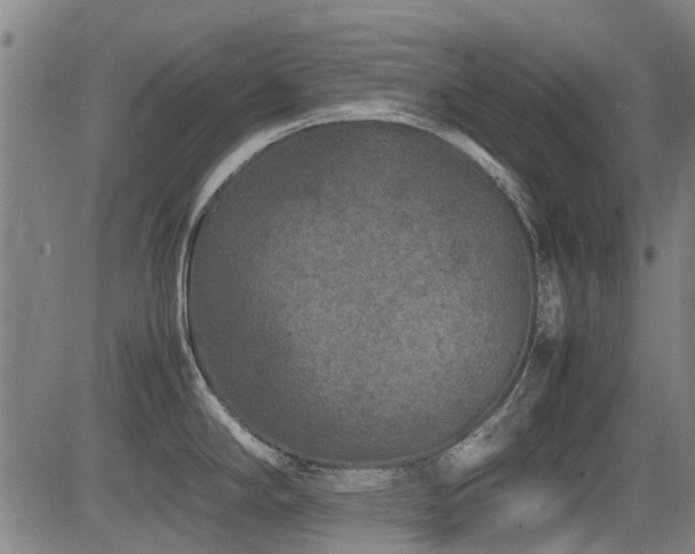 X0000083581294200702091109