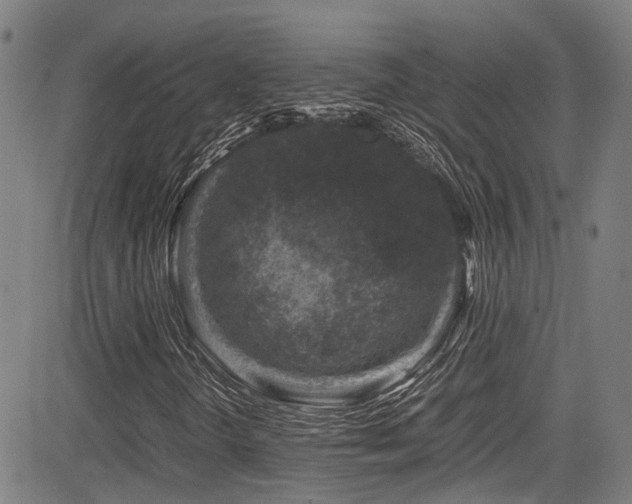 X0000083581298200702091108