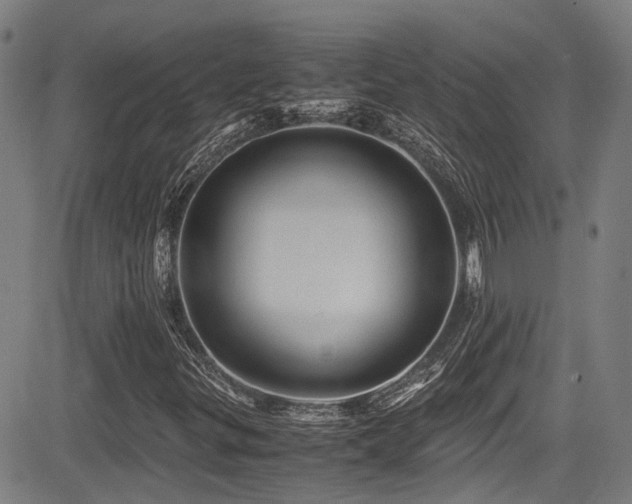 X0000083581299200702091108