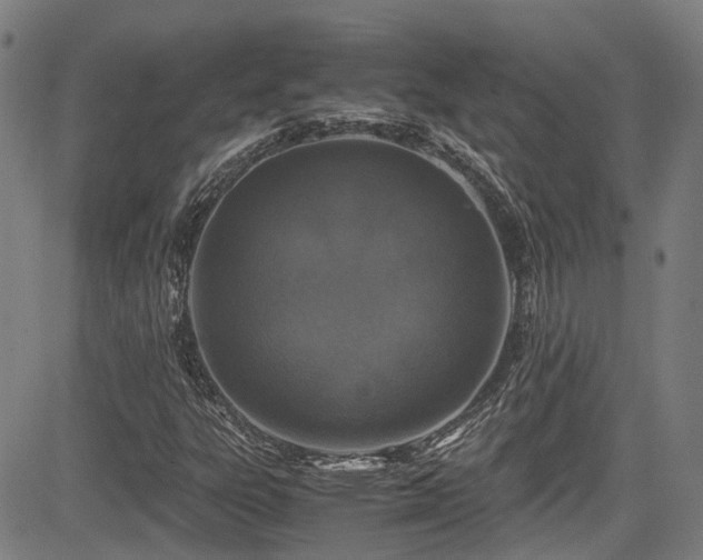 X0000083581303200702091108