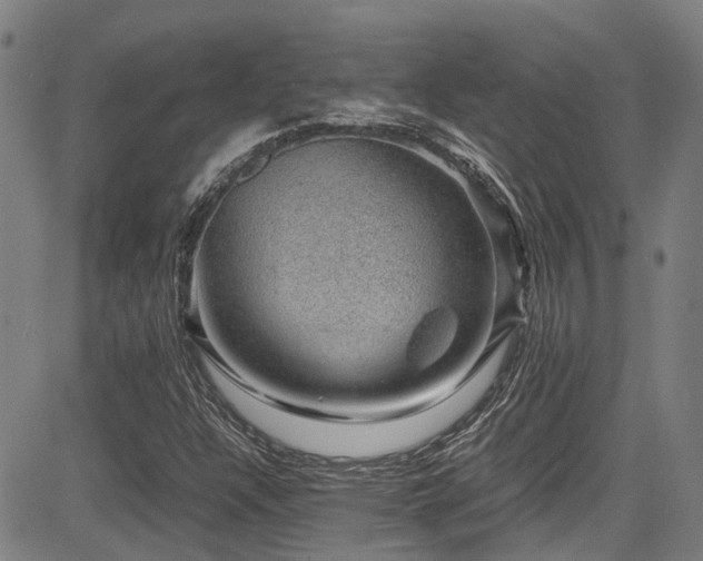 X0000083581304200702091108