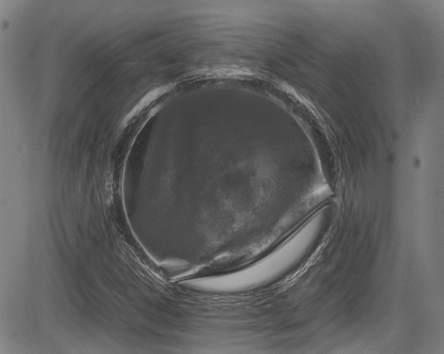 X0000083581306200702091108