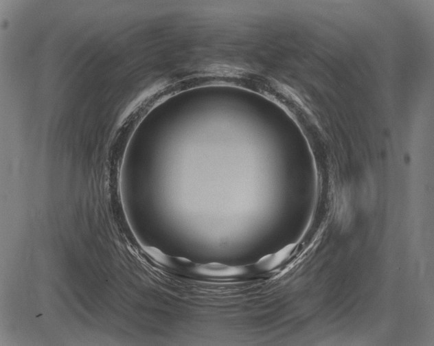 X0000083581307200702091108