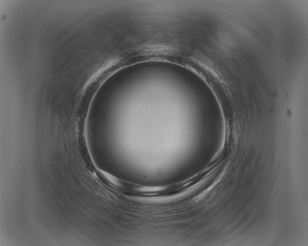 X0000083581309200702091108