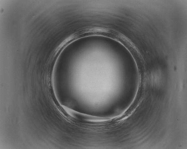 X0000083581321200702091109