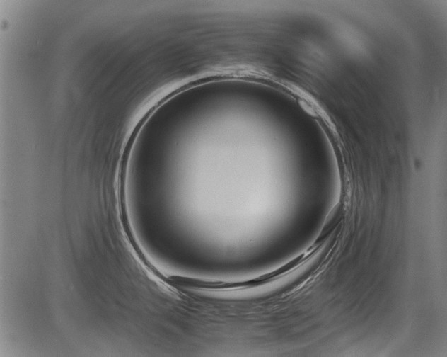 X0000083581343200702091109