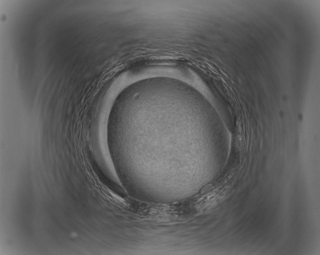 X0000083581345200702091108