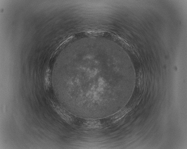 X0000083581346200702091108