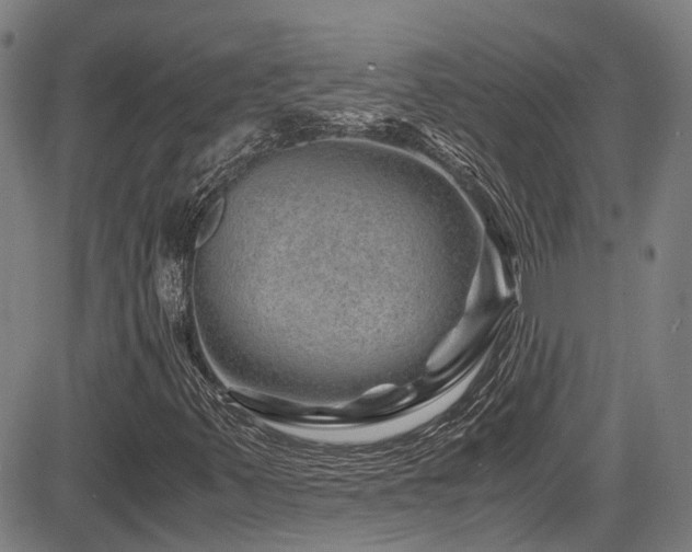 X0000083581347200702091108
