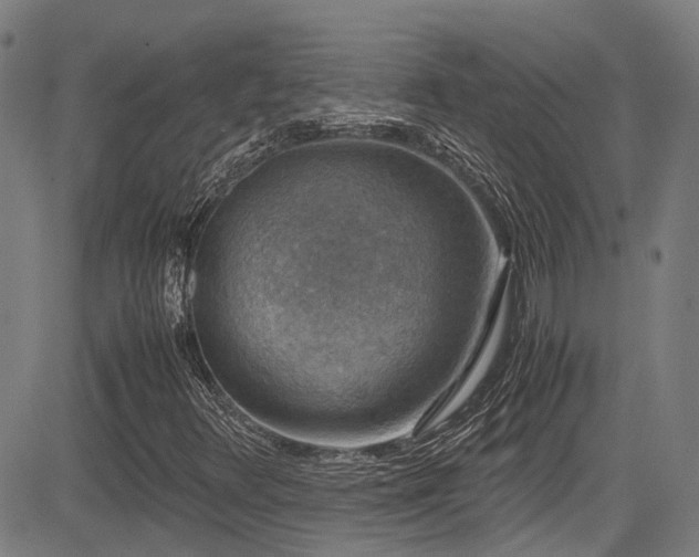 X0000083581348200702091108