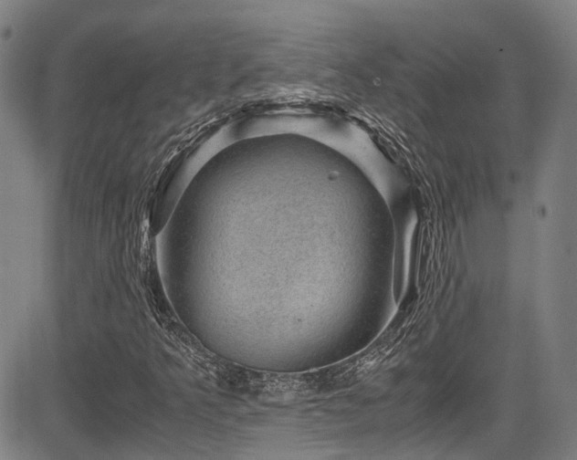 X0000083581349200702091108