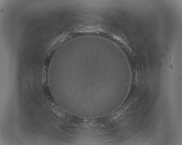 X0000083581350200702091108