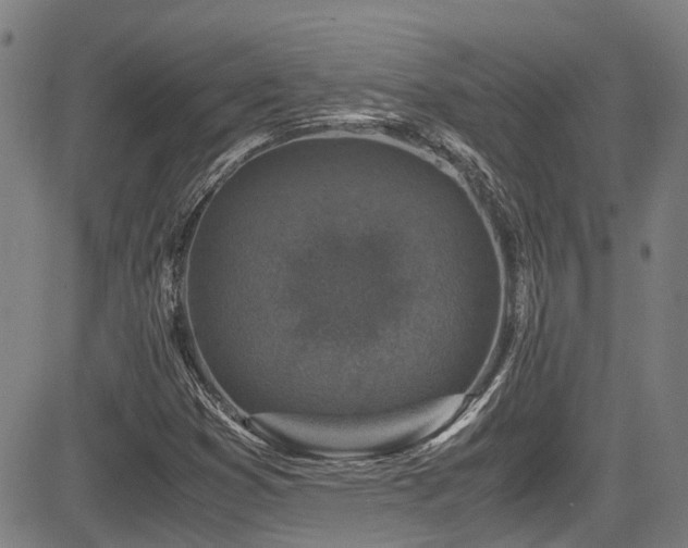 X0000083581353200702091108
