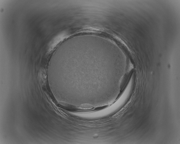 X0000083581355200702091108
