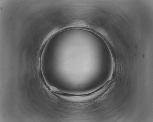X0000083581366200702091108