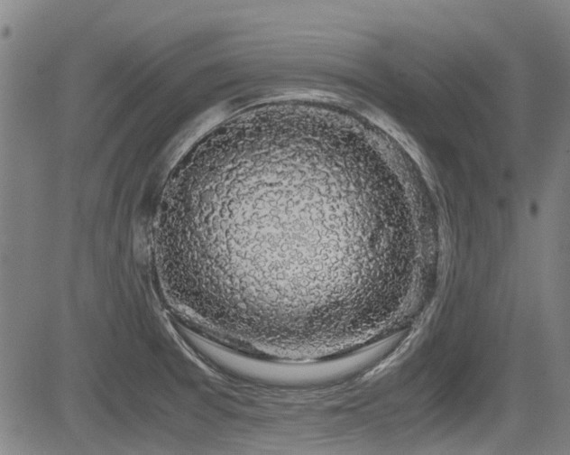 X0000083581377200702091108