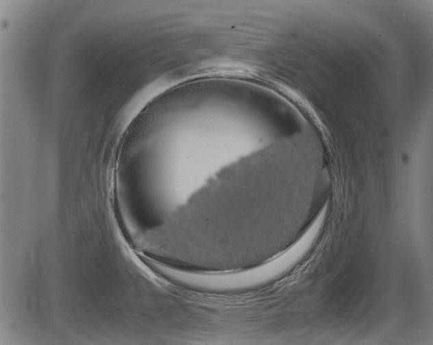 X0000083581383200702091108