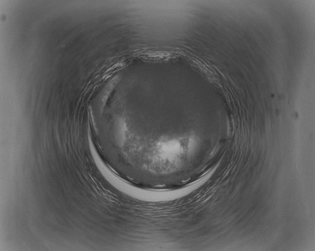 X0000083581394200702091107