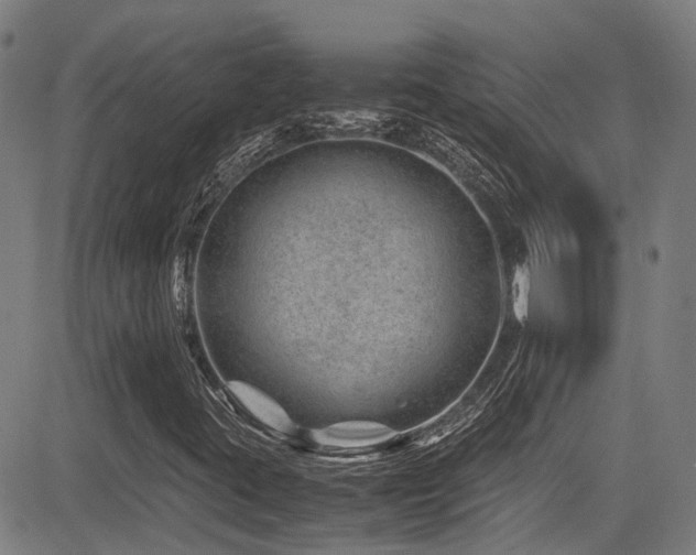 X0000083581395200702091107