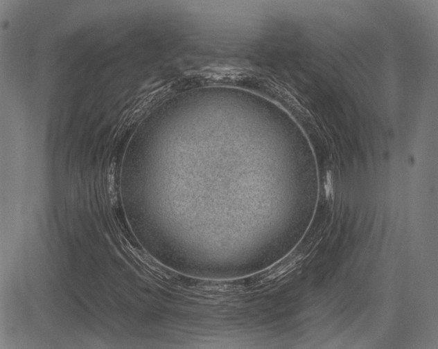 X0000083581396200702091107