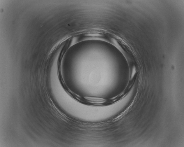 X0000083581402200702091107