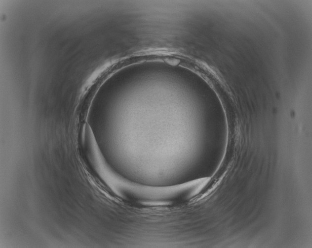 X0000083581406200702091107