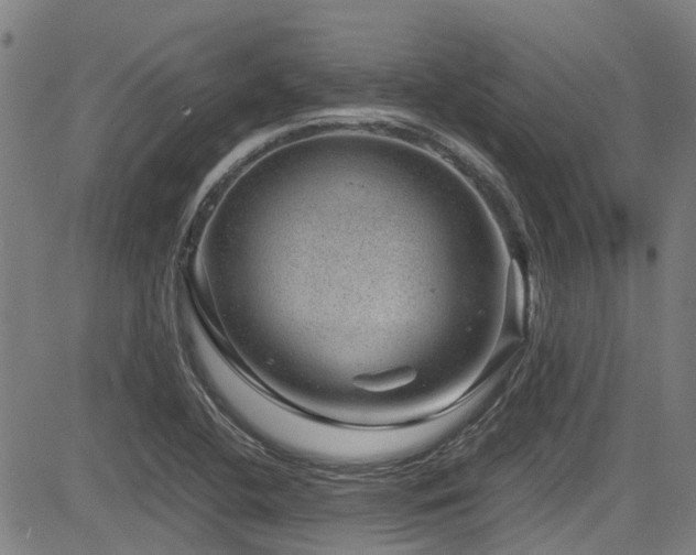 X0000083581412200702091107