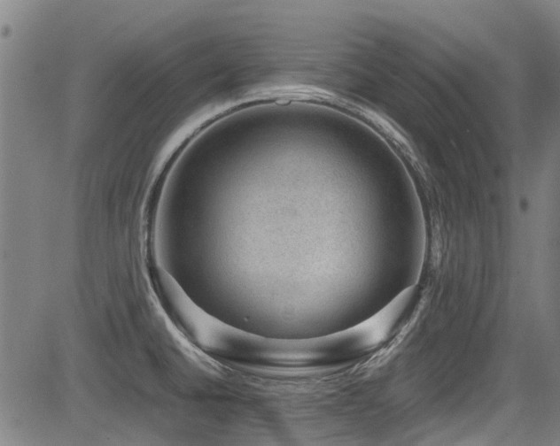 X0000083581430200702091107