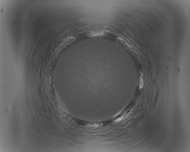 X0000083581441200702091107