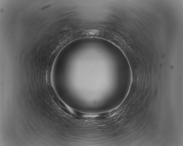 X0000083581442200702091107