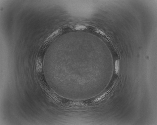 X0000083581443200702091107