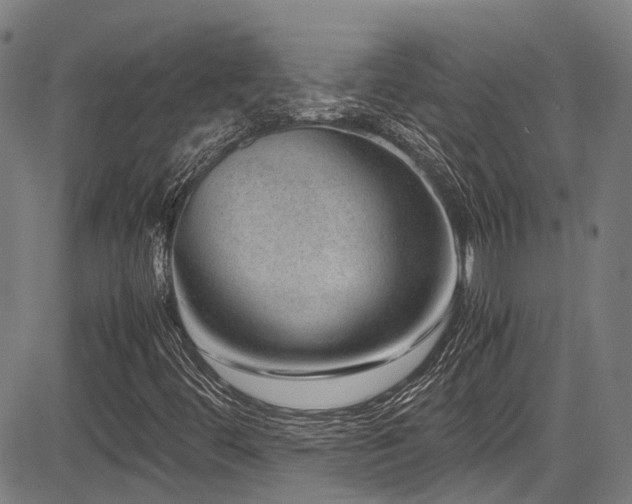X0000083581444200702091107