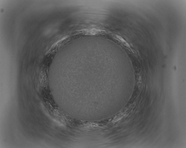 X0000083581446200702091107