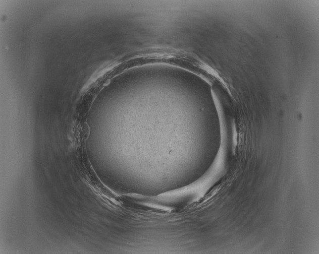 X0000083581448200702091107