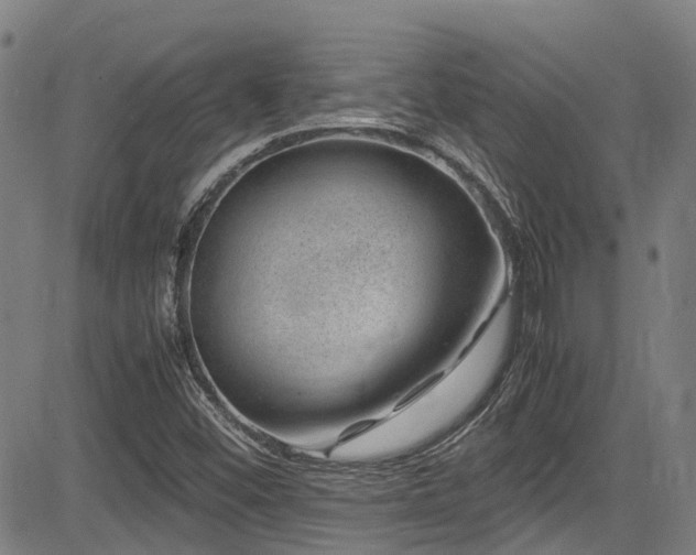 X0000083581452200702091106