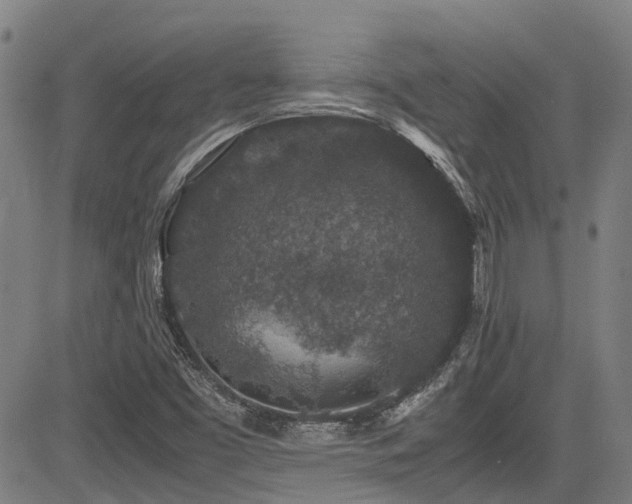 X0000083581453200702091106