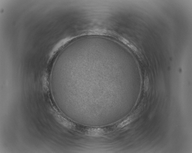 X0000083581454200702091106