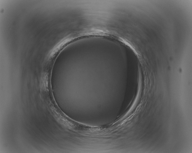 X0000083581455200702091106