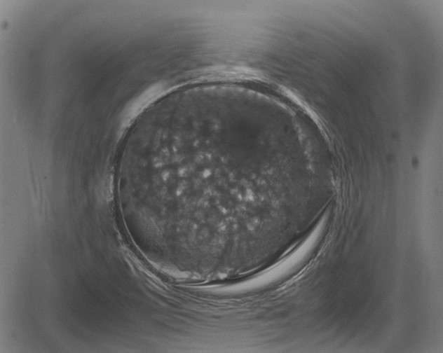 X0000083581459200702091106