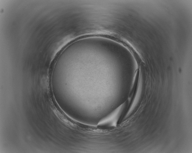 X0000083581460200702091106