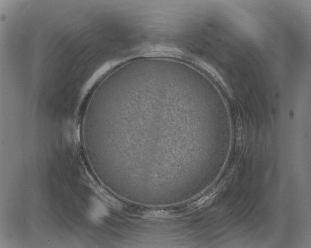 X0000083581462200702091106